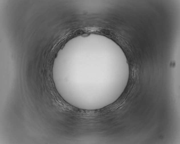 X0000111121393200906301031