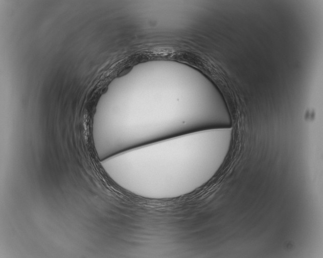 X0000111121394200906301031