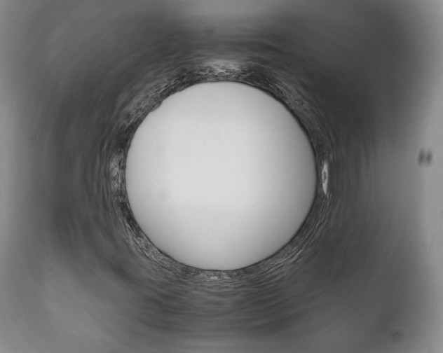 X0000111121395200906301031