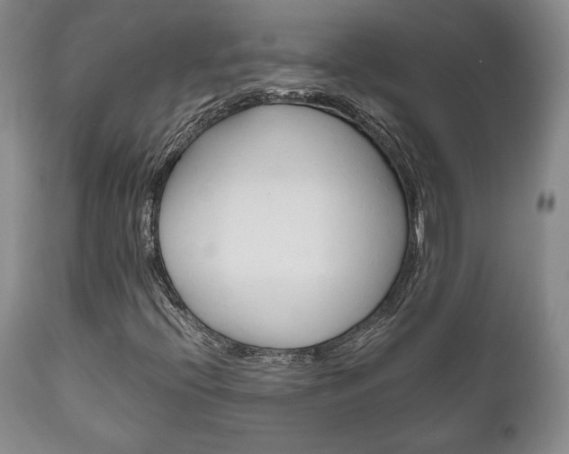 X0000111121396200906301031