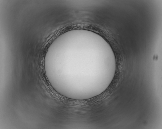 X0000111121397200906301031