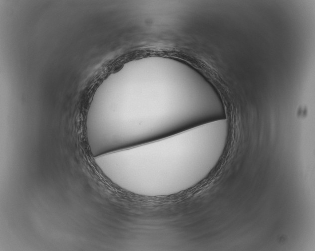 X0000111121398200906301031