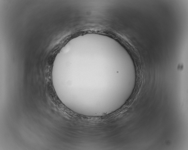 X0000111121399200906301031