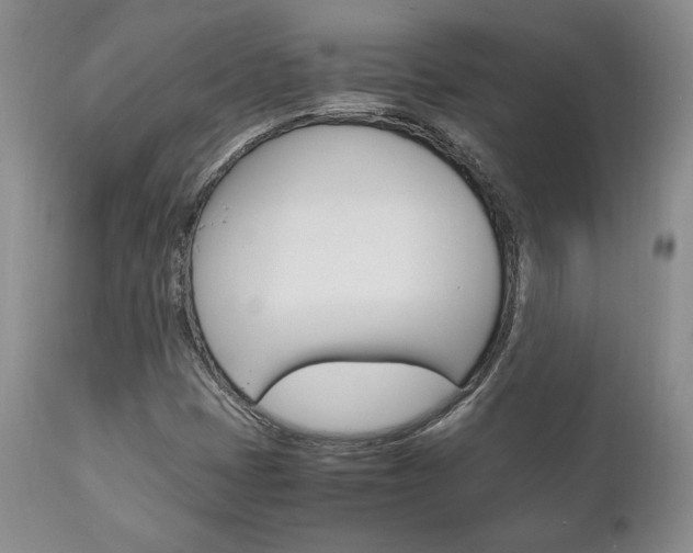 X0000111121401200906301031
