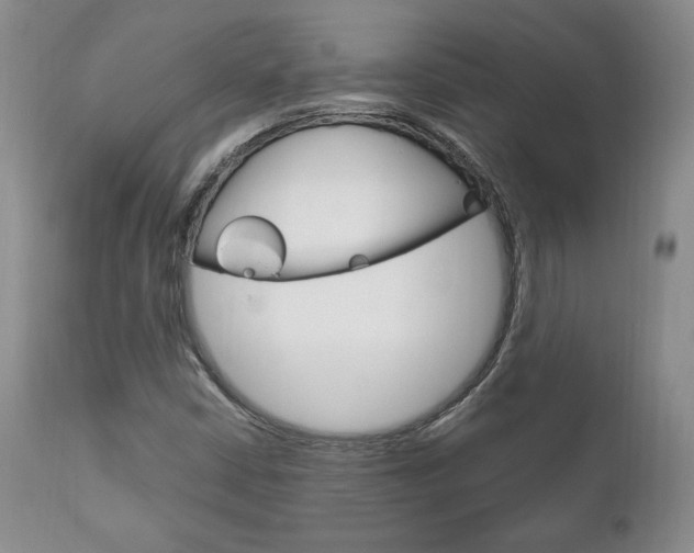 X0000111121402200906301031