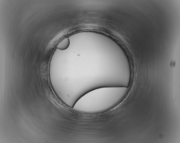 X0000111121403200906301031