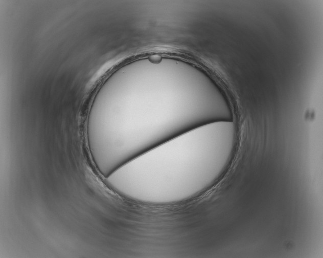 X0000111121404200906301031