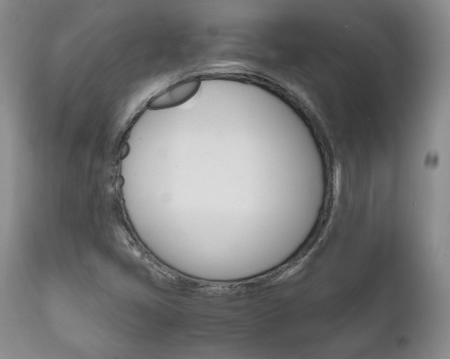 X0000111121405200906301031