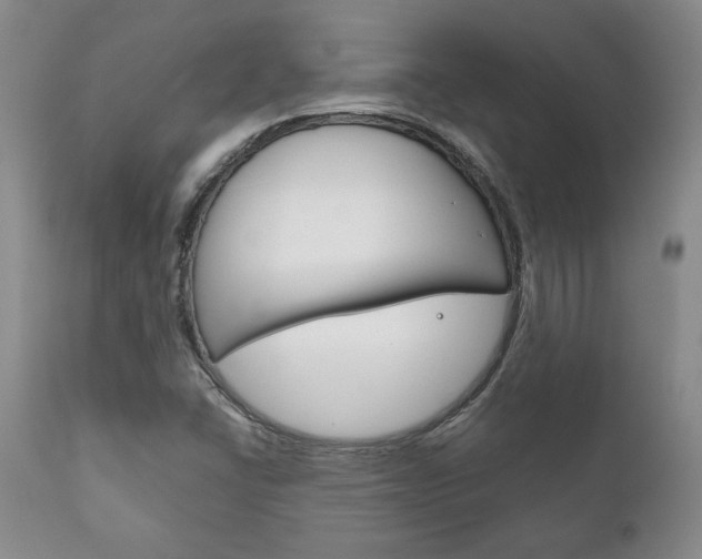 X0000111121406200906301031