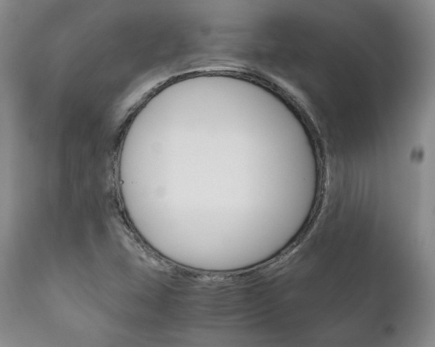 X0000111121407200906301031
