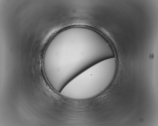 X0000111121408200906301031