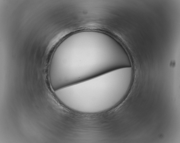 X0000111121410200906301031