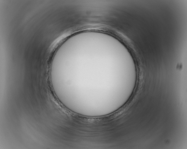 X0000111121411200906301031