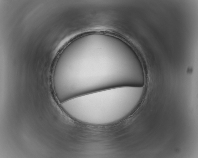 X0000111121412200906301031