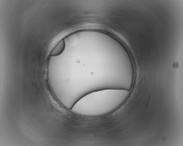 X0000111121413200906301031