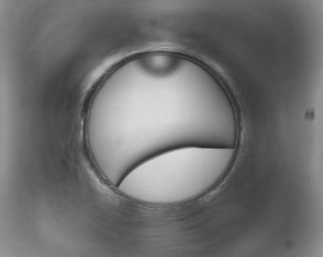 X0000111121414200906301031