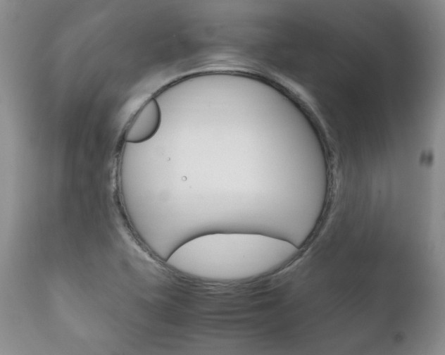 X0000111121415200906301031
