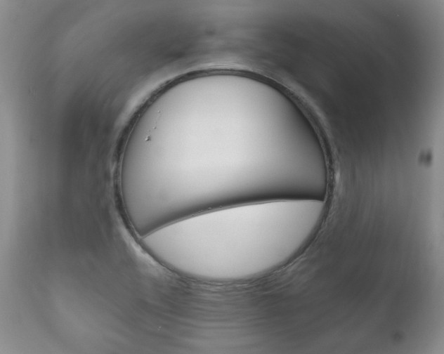 X0000111121416200906301031