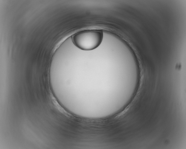 X0000111121417200906301031