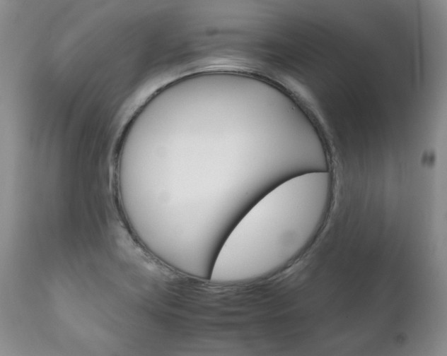 X0000111121419200906301031