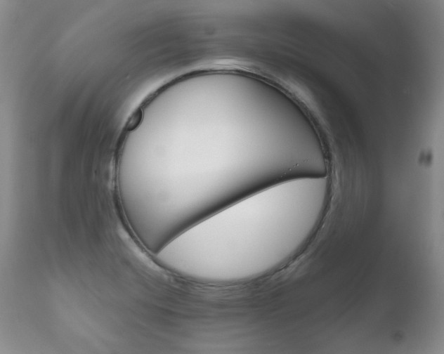 X0000111121420200906301031