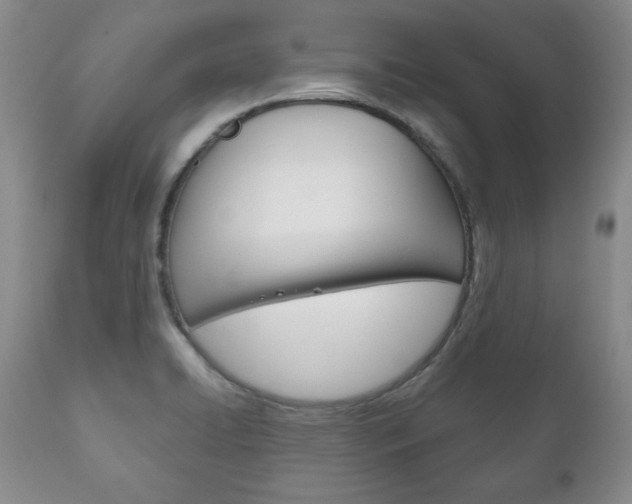 X0000111121422200906301031
