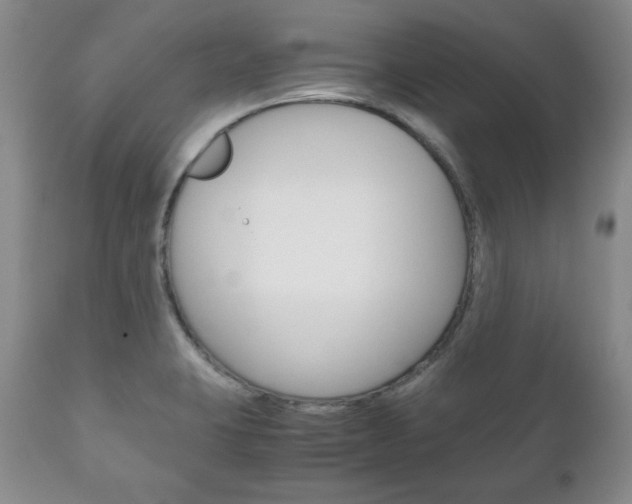 X0000111121423200906301031