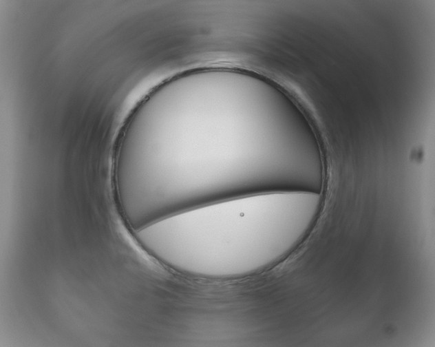 X0000111121424200906301031