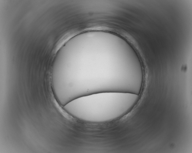 X0000111121425200906301031