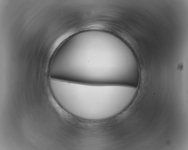 X0000111121426200906301031