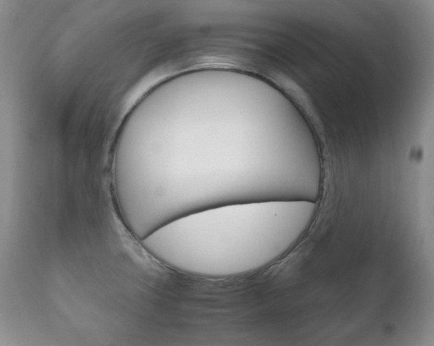 X0000111121427200906301031