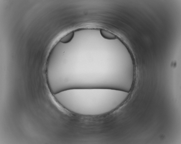 X0000111121429200906301031