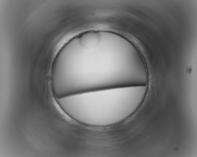 X0000111121432200906301031