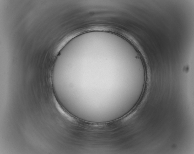 X0000111121433200906301031