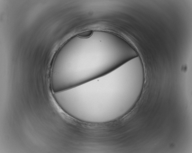 X0000111121434200906301031