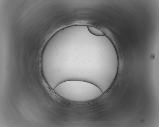 X0000111121435200906301031