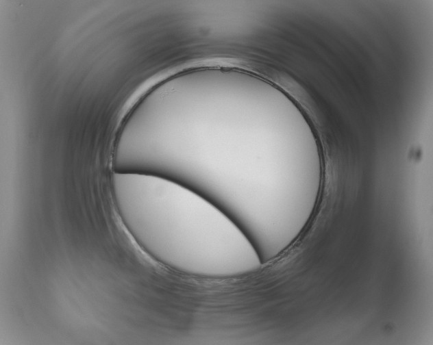 X0000111121436200906301031
