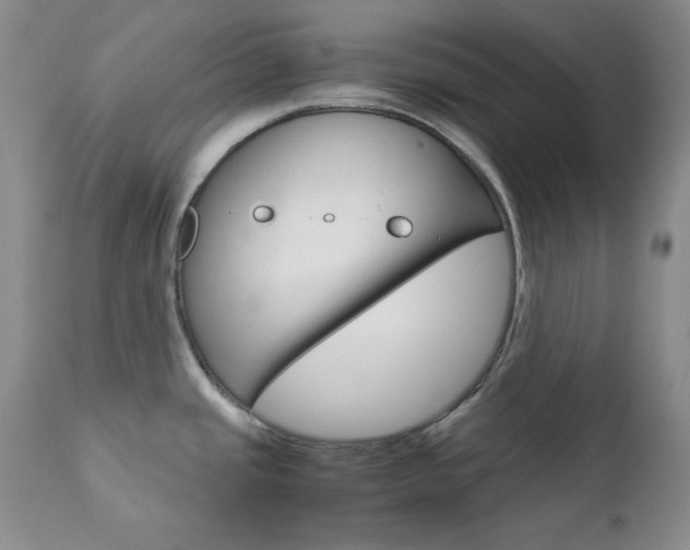 X0000111121437200906301031