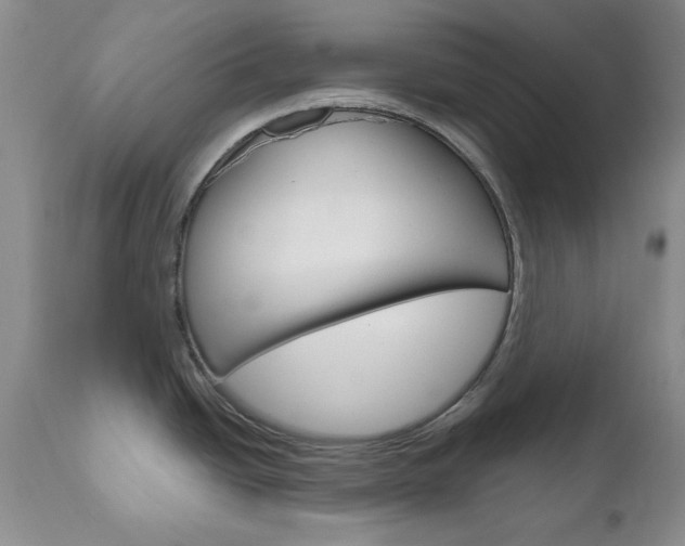 X0000111121438200906301031