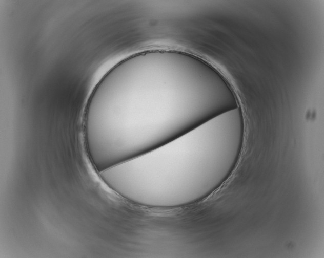 X0000111121440200906301031
