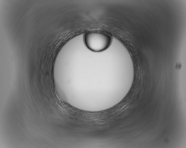 X0000111121441200906301031