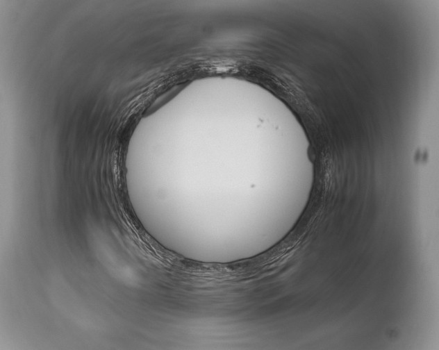X0000111121442200906301031