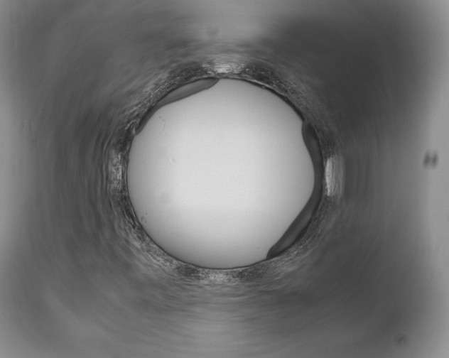 X0000111121443200906301031