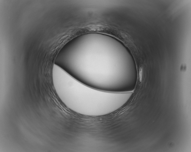 X0000111121444200906301031
