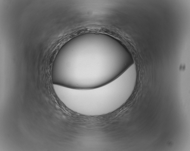 X0000111121445200906301031