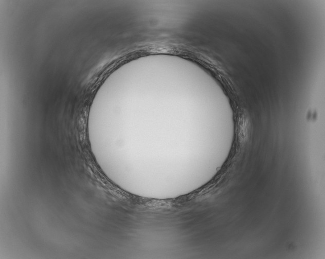 X0000111121446200906301031