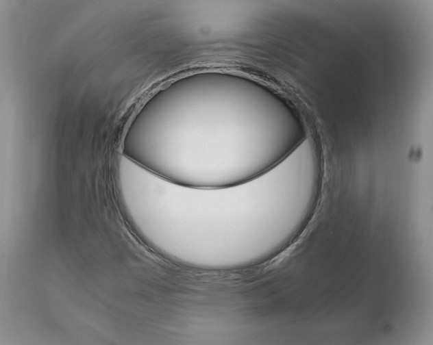 X0000111121449200906301031