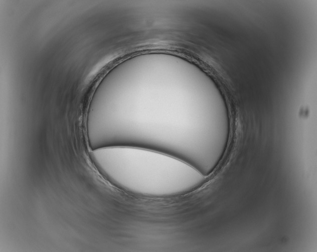 X0000111121450200906301031