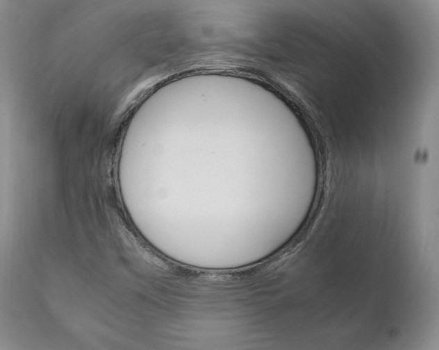 X0000111121451200906301031