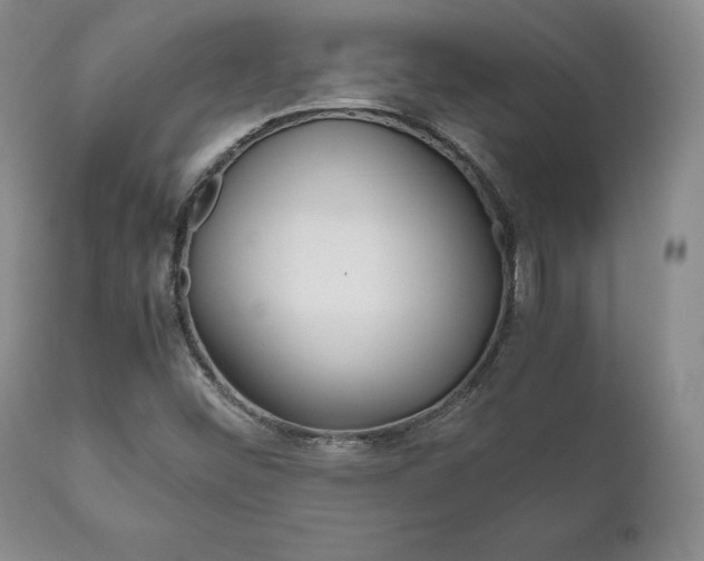 X0000111121452200906301031